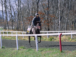 2006111210.jpg
