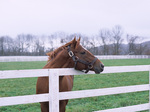 2006111230.jpg