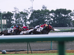 2007122304.jpg
