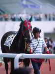 2008071202.jpg